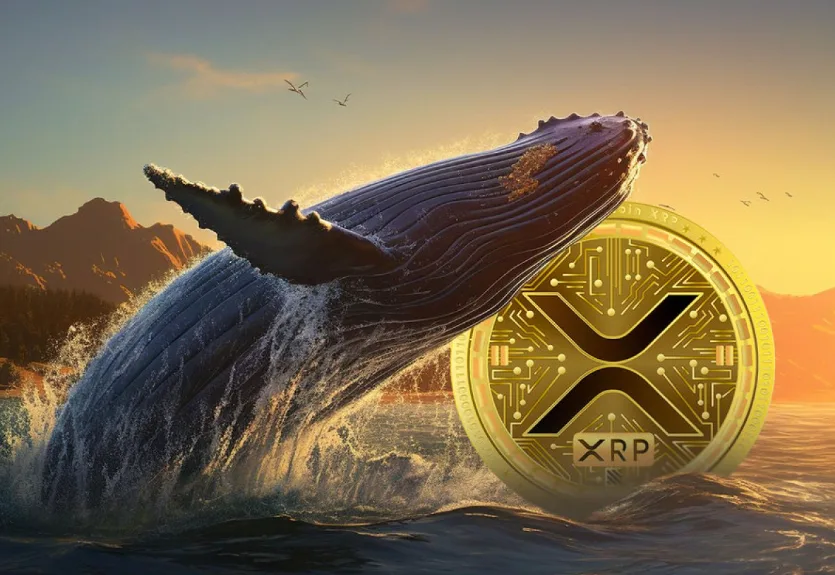Cá voi XRP: 515 triệu lượt trao đổi khi hoạt động của cá voi tăng vọt.