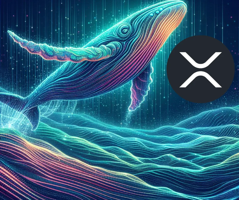 Cá voi XRP di chuyển 300 triệu token trong bối cảnh SEC kháng cáo