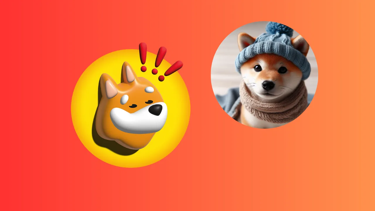 Solana Memecoin: Một nhà đầu tư kiếm được 23 triệu đô la nhờ BONK và WIF