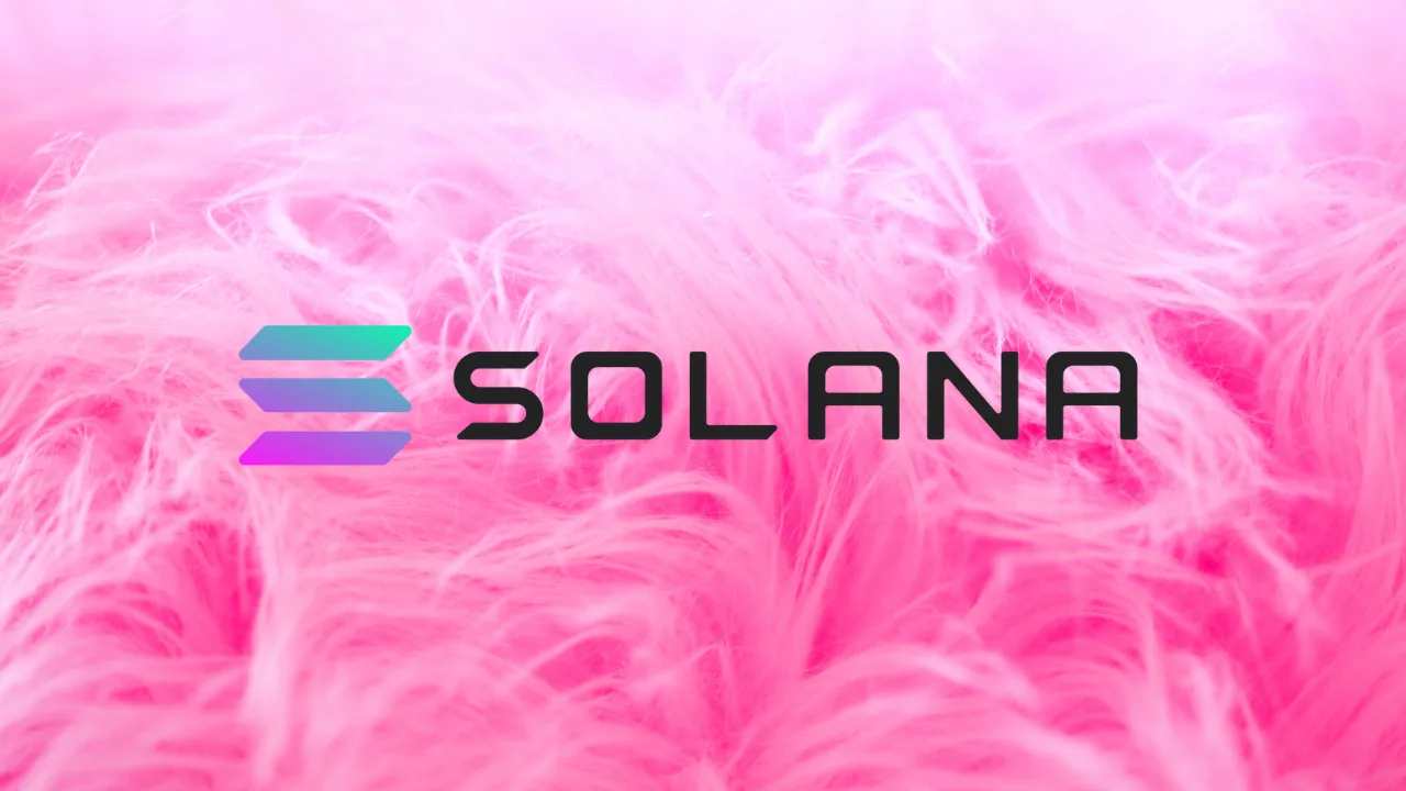 Solana dự đoán sẽ đạt 500 USD trong năm nay bất chấp thị trường suy thoái