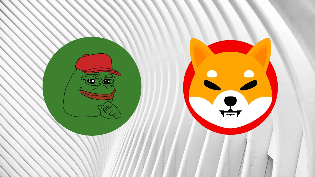 2 loại Memecoin phổ biến nhất các nhà đầu tư nên sở hữu