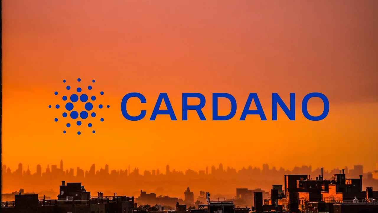Cardano sẽ giảm giá mặc dù sự quan tâm đến DeFi tăng vọt