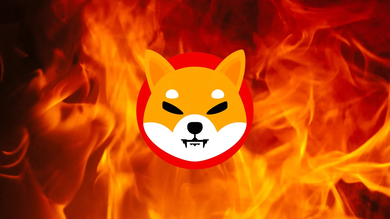 Shiba Inu : Tốc độ đốt token tăng đột biến khiến SHIB được chú ý