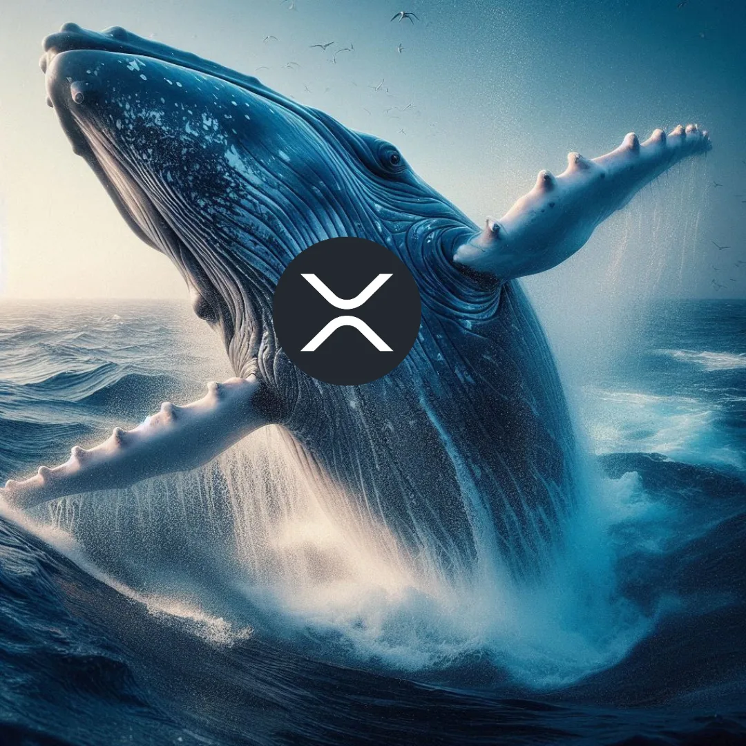 Cá voi mua lượng XRP trị giá 13 triệu USD - Dấu hiệu tăng giá