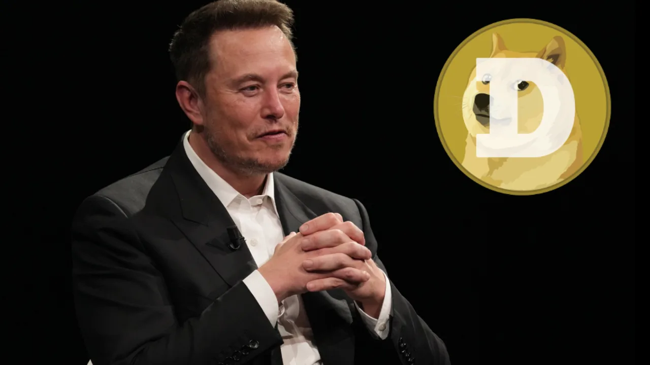 Người đồng sáng lập Dogecoin công khai ủng hộ đối với Elon Musk