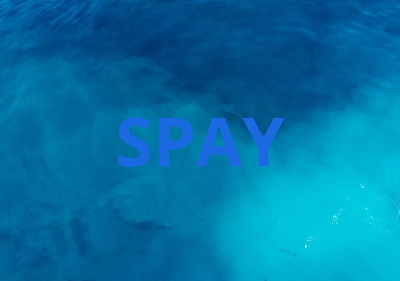 Spay công bố ra mắt thẻ Spay VIP và ví đa chuỗi SSS