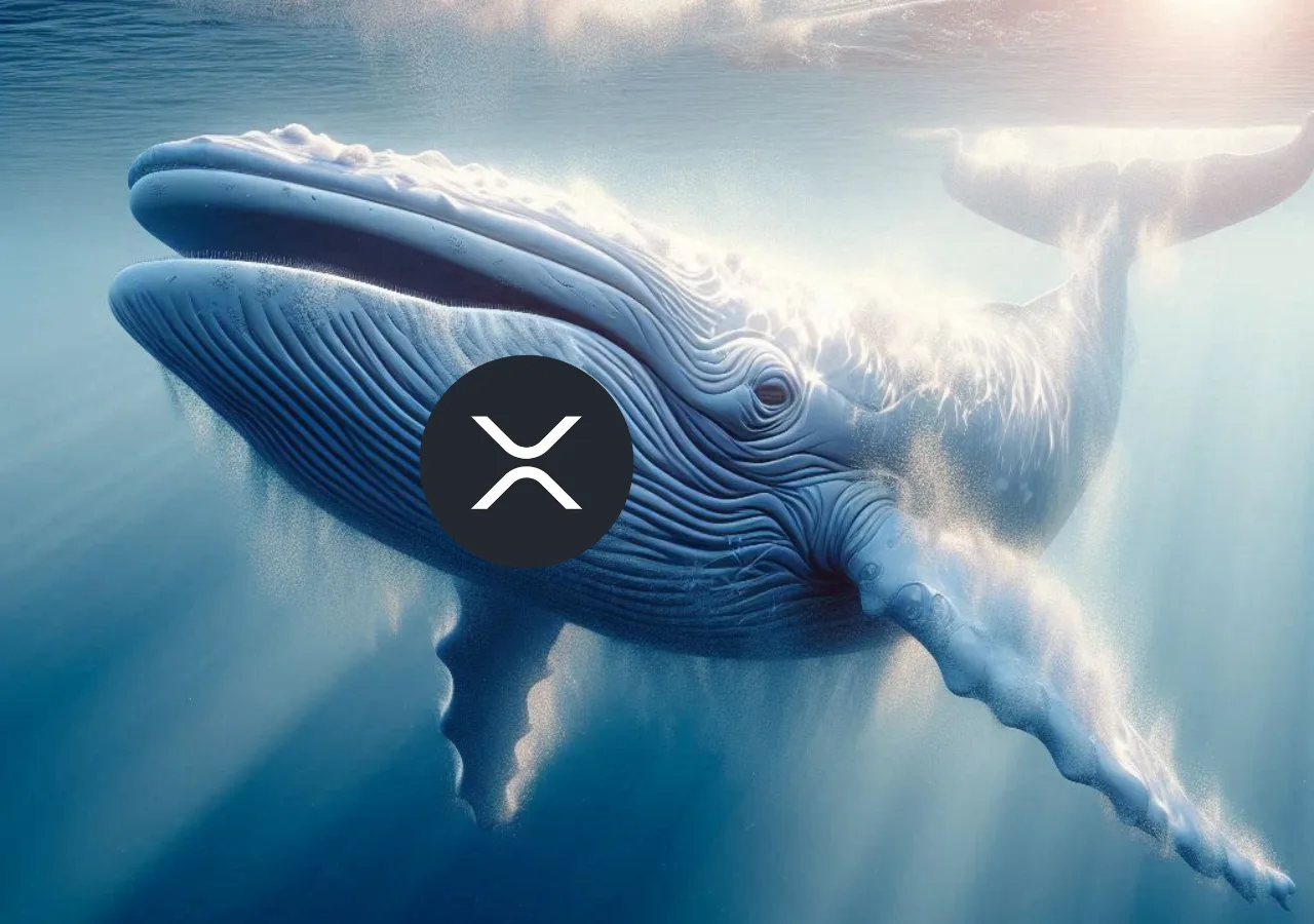 Cá voi XRP đang tiếp tục mua - Dấu hiệu cho đợt tăng giá tiếp theo?