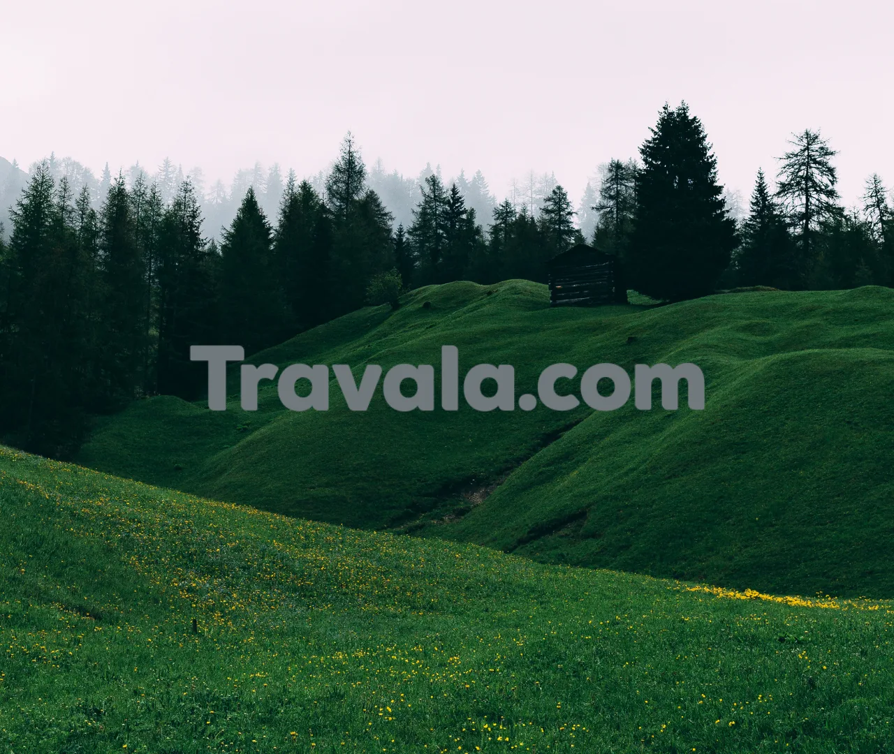 Skyscanner công bố quan hệ đối tác chiến lược với Travala