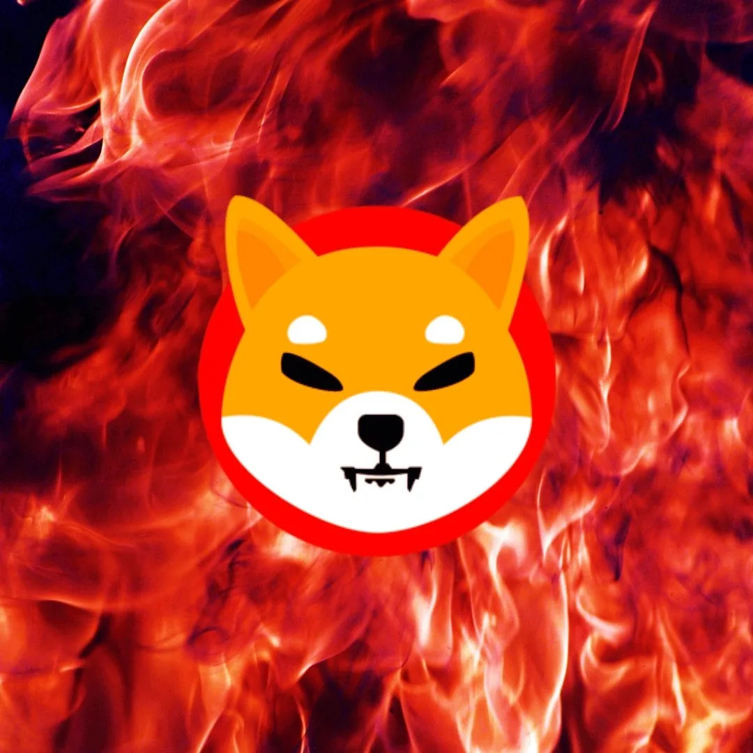 Shiba Inu đốt nhiều hơn 21% trong vòng 24h