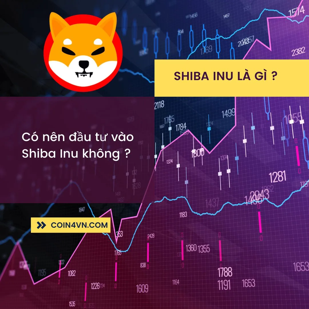 Shiba Inu là gì ? Có nên đầu tư vào Shiba Inu không ?