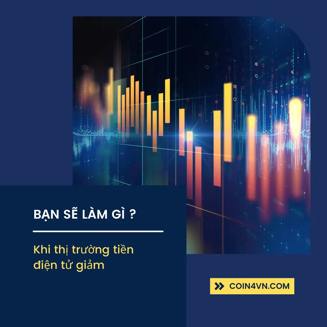 Bạn sẽ làm gì khi thị trường tiền điện tử giảm ?