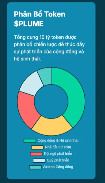 Plume Là Gì? Tất Tần Tật Cho Người Đang Hold